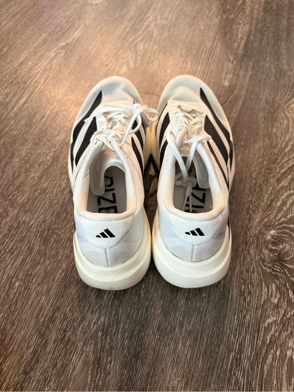 ADIDAS Evo SL - Picture 5 of 5